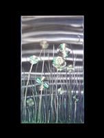 Two Dragonflies